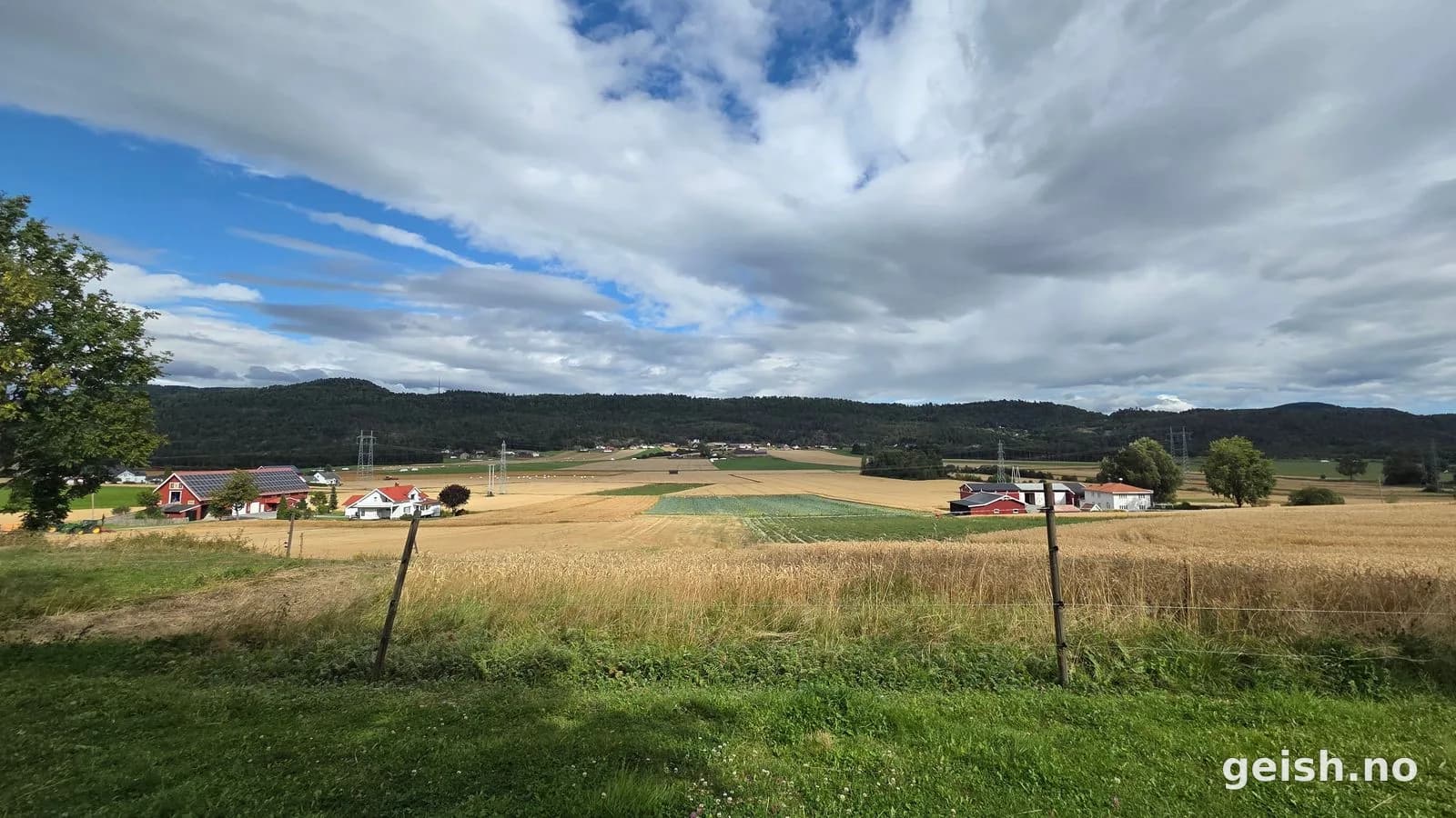 Kornåker i kveldslys utenfor Skien
